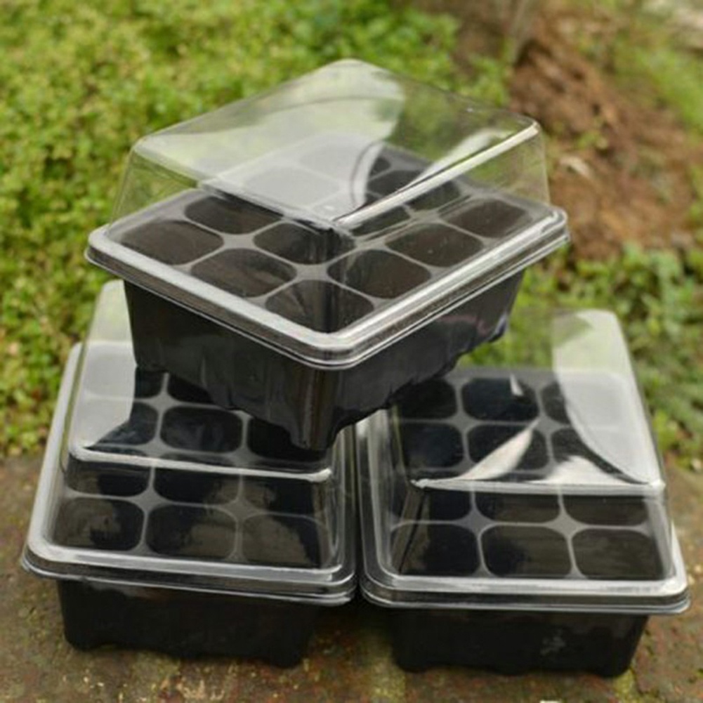 種まきキット 12セル苗トレイ ガーデニング発芽トレイ 植物 - Bonsai Garden Grow Kit のレビューと価格