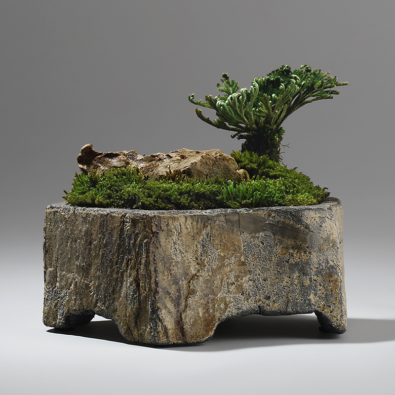 玄武岩天然石フラワーポット手作り多肉植物プランター屋内屋外デ - Bonsai Garden Indoor のレビューと価格
