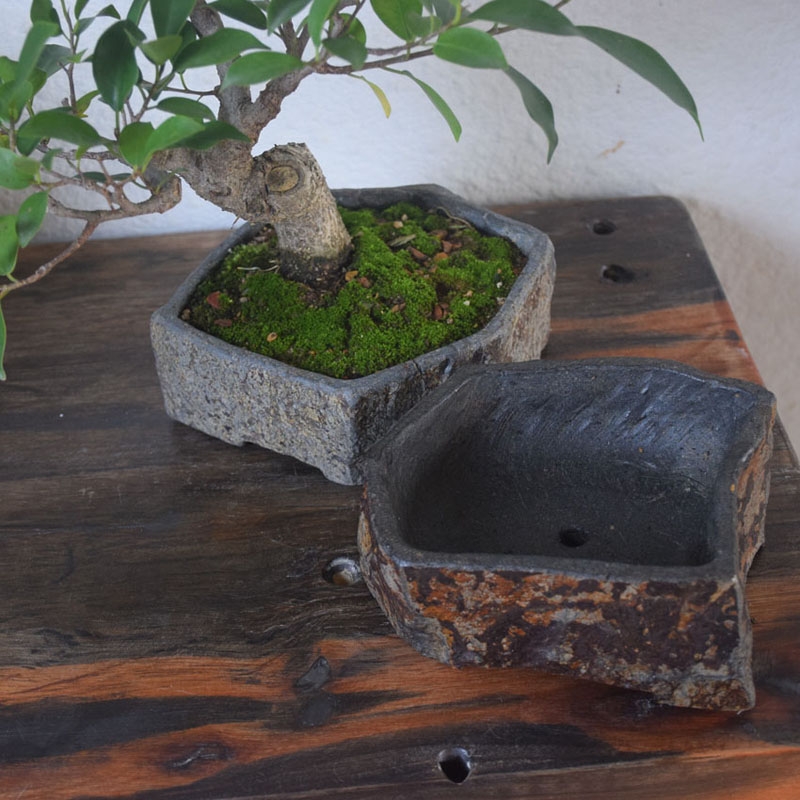 玄武岩天然石フラワーポット手作り多肉植物プランター屋内屋外デ - Bonsai Garden Indoor のレビューと価格