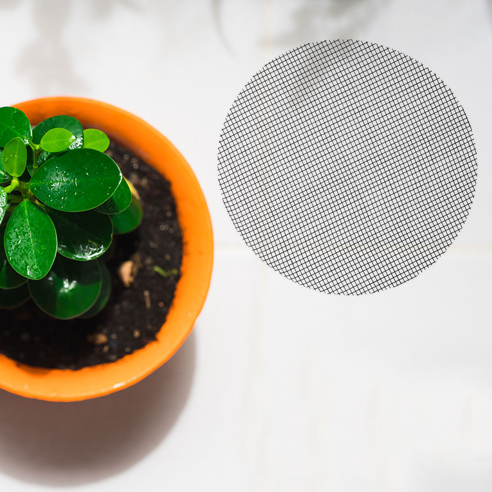 50枚入り 花鉢穴用メッシュパッド 丸型排水ネット プラスチ - Bonsai Gardener のレビューと価格