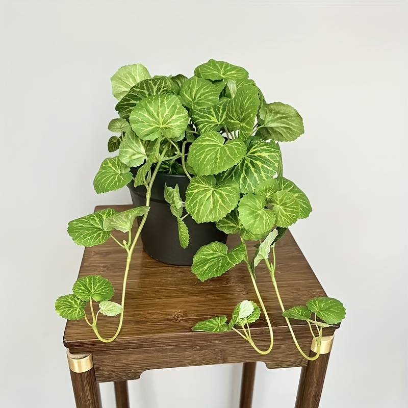 人工の吊り下げ式のつる植物で、リアルな常緑の緑の装飾が施され - Bonsai Garden Indoor のレビューと価格