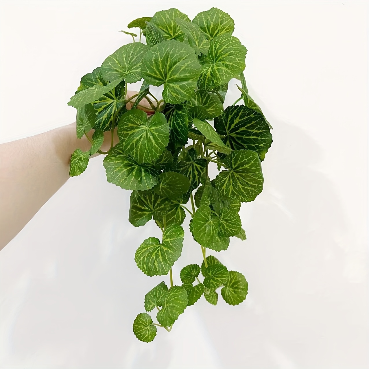 人工の吊り下げ式のつる植物で、リアルな常緑の緑の装飾が施され - Bonsai Garden Indoor のレビューと価格