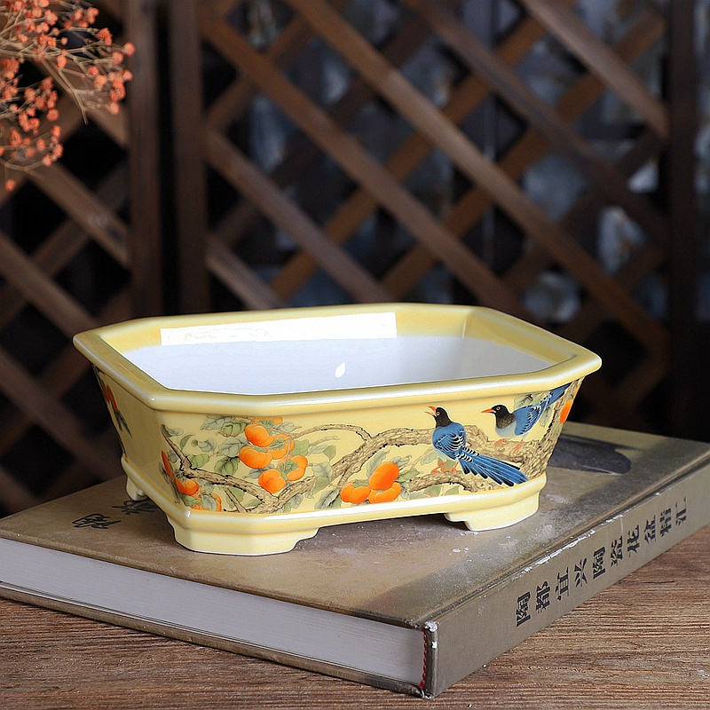 磁器長方形盆栽ポット、伝統的な中国のパターン、部屋、ホームテ - Bonsai Garden For Desk のレビューと価格