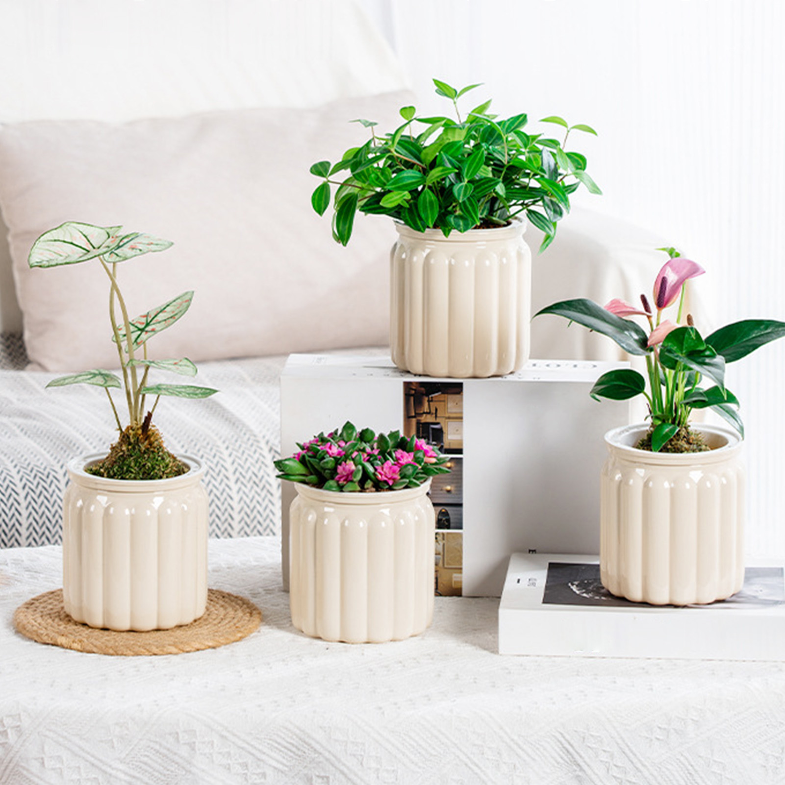 モダンな自動給水プランター屋内半透明スタイリッシュなミニマリ - Sphagnum Moss Bag のレビューと価格