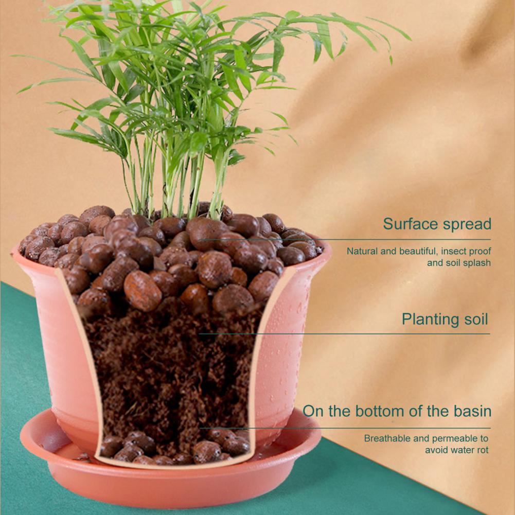 植物用粘土小石 3.3ポンド 12-14mm 天然粘土ボール - Sphagnum Moss Bag のレビューと価格