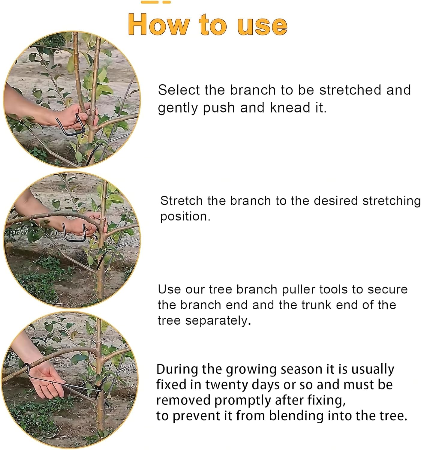調整可能な果樹の枝整形器、側枝の曲げとトレーニング用、盆栽、 - Bonsai Gardener のレビューと価格