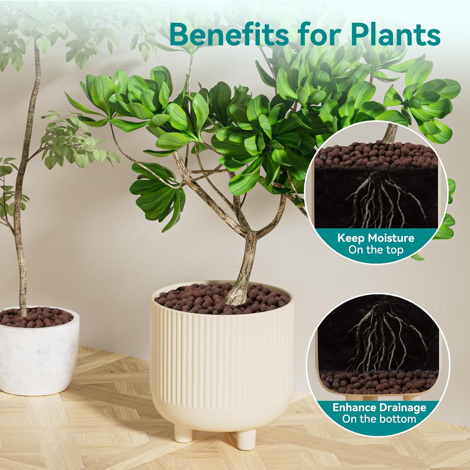 植物用粘土小石100/200g、植物用軽量粘土球、排水用、水 - Sphagnum Moss Bag のレビューと価格