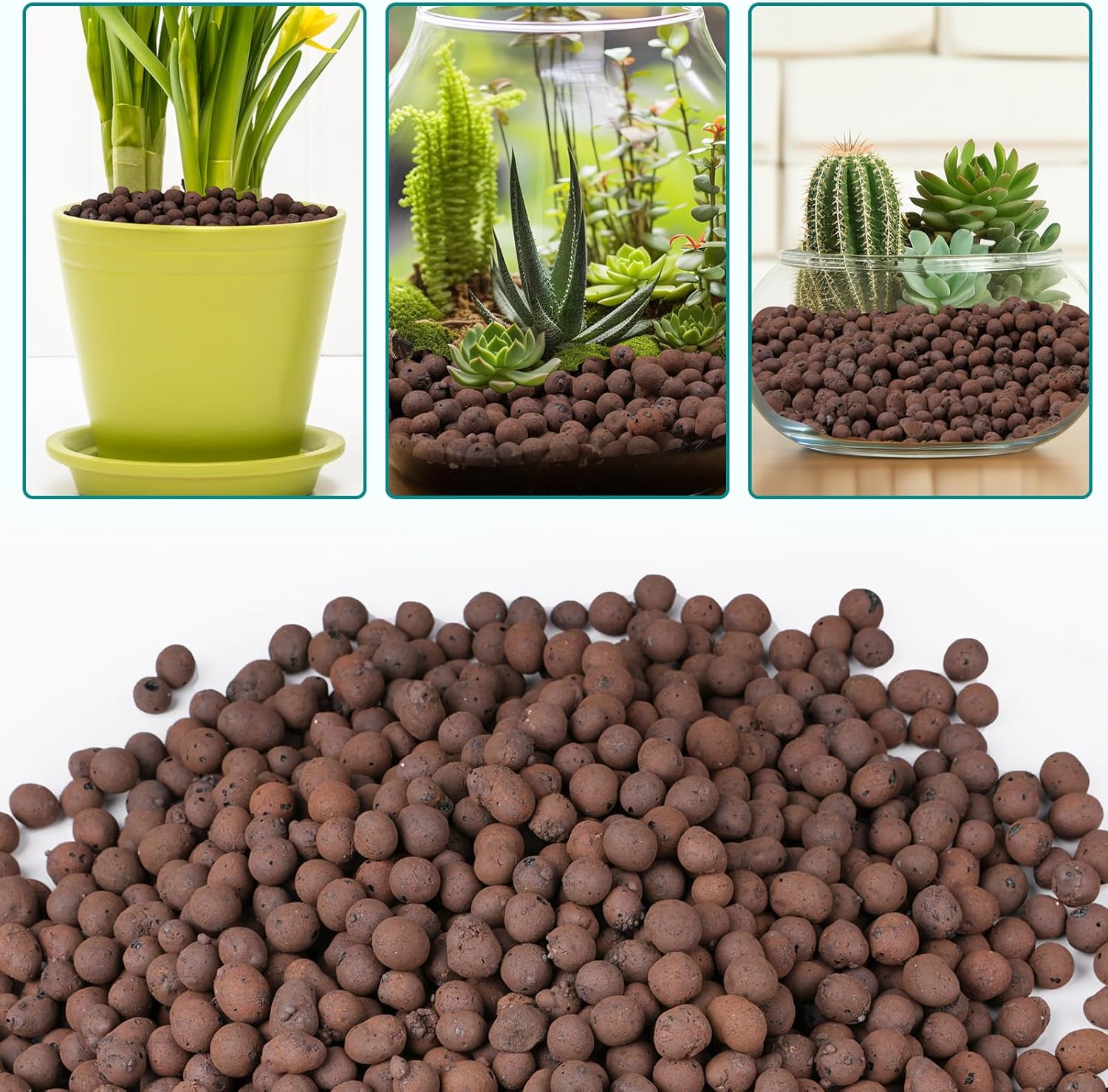 植物用粘土小石100/200g、植物用軽量粘土球、排水用、水 - Sphagnum Moss Bag のレビューと価格