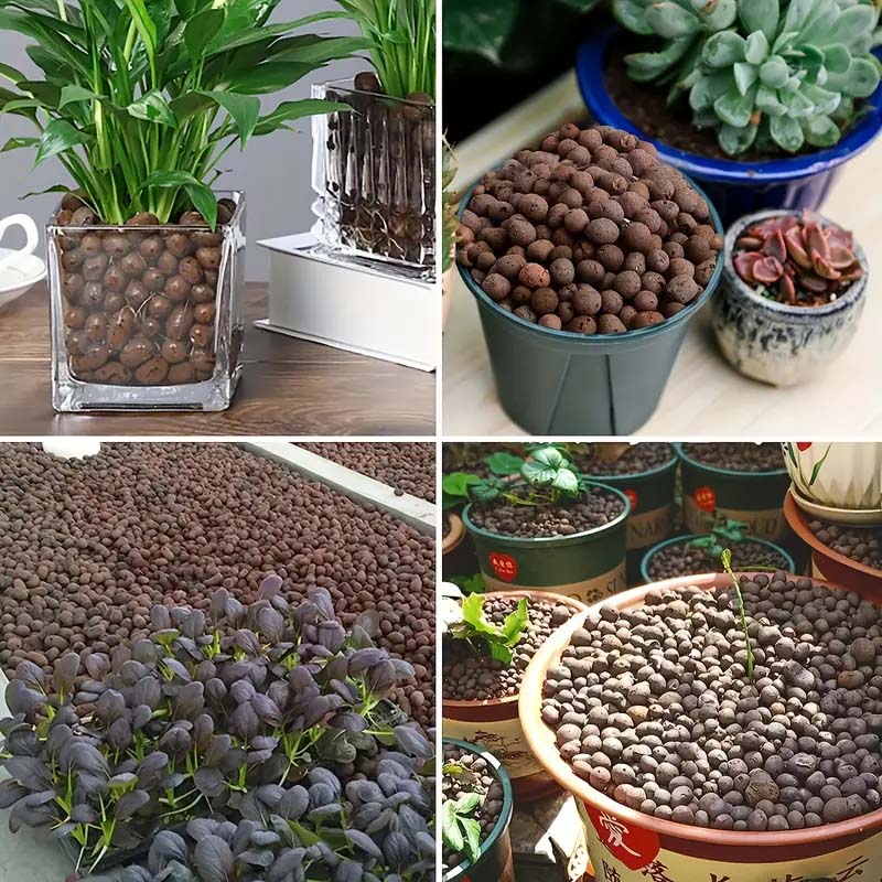 植物用粘土小石100/200g、植物用軽量粘土球、排水用、水 - Sphagnum Moss Bag のレビューと価格