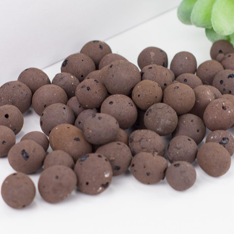 光セラミックサイトの小石,有機栽培,500g,蘭,メディア, - Sphagnum Moss Bag のレビューと価格