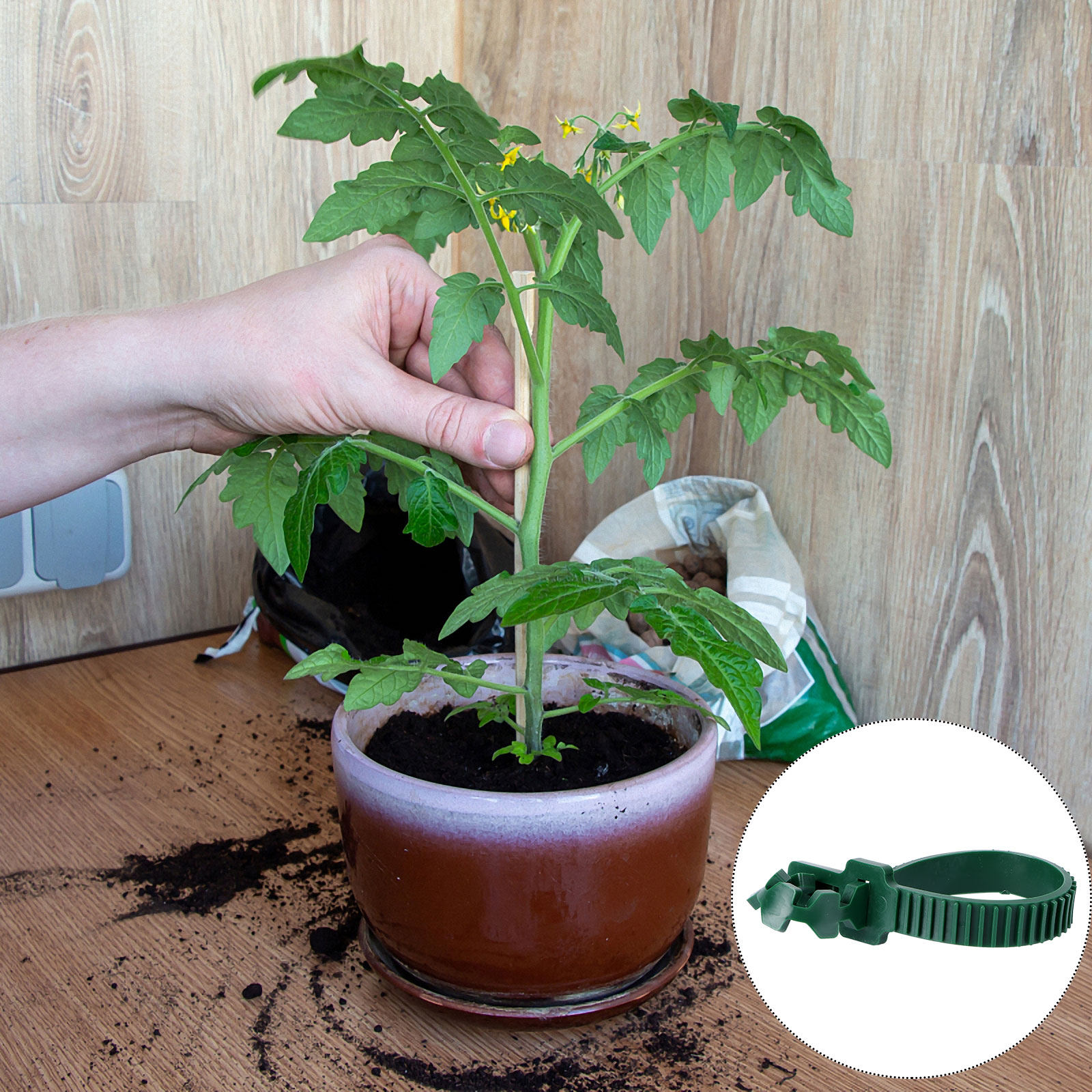 20個入り バイン固定バックル ガーデン植物サポートクリップ - Bonsai Gardener のレビューと価格