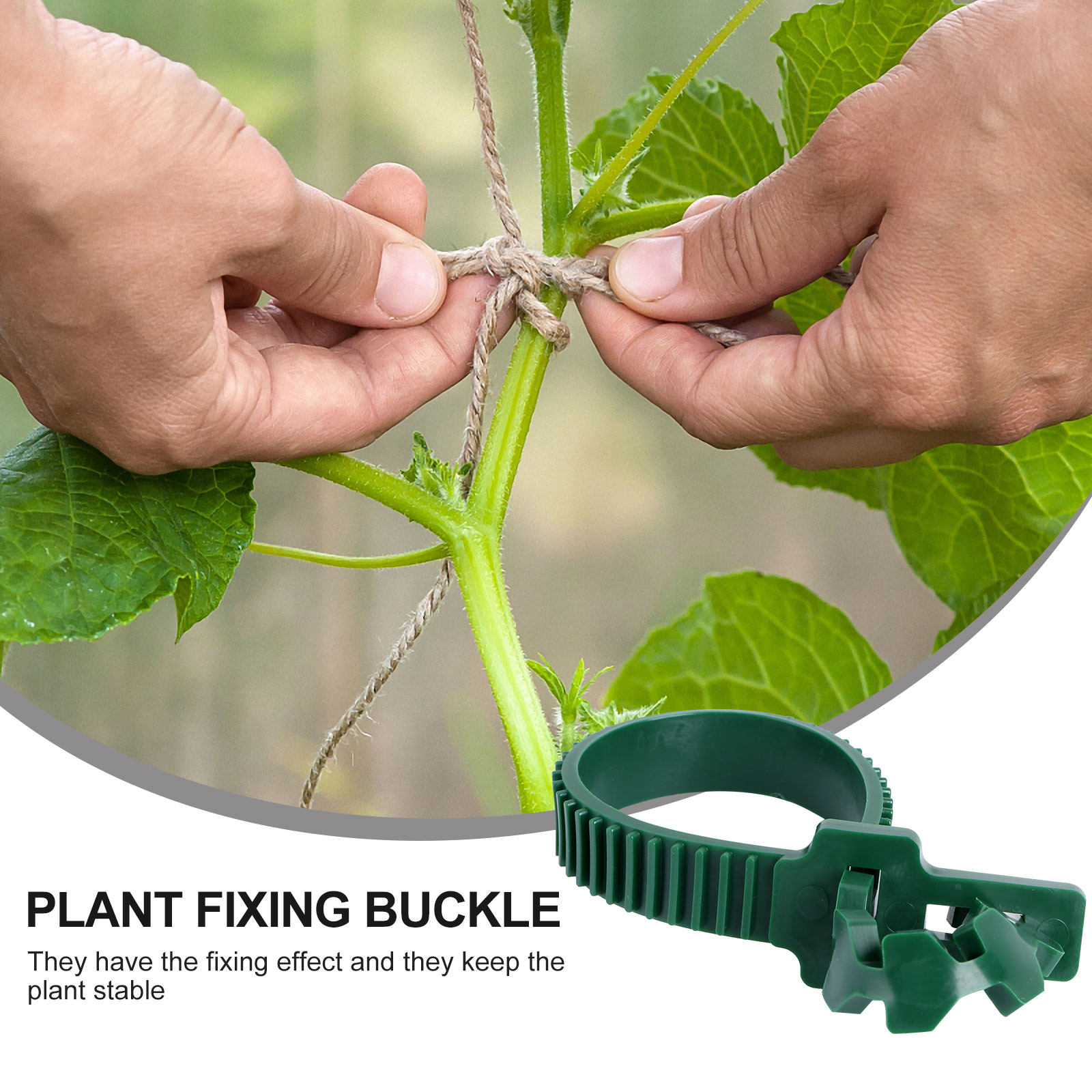 20個入り バイン固定バックル ガーデン植物サポートクリップ - Bonsai Gardener のレビューと価格