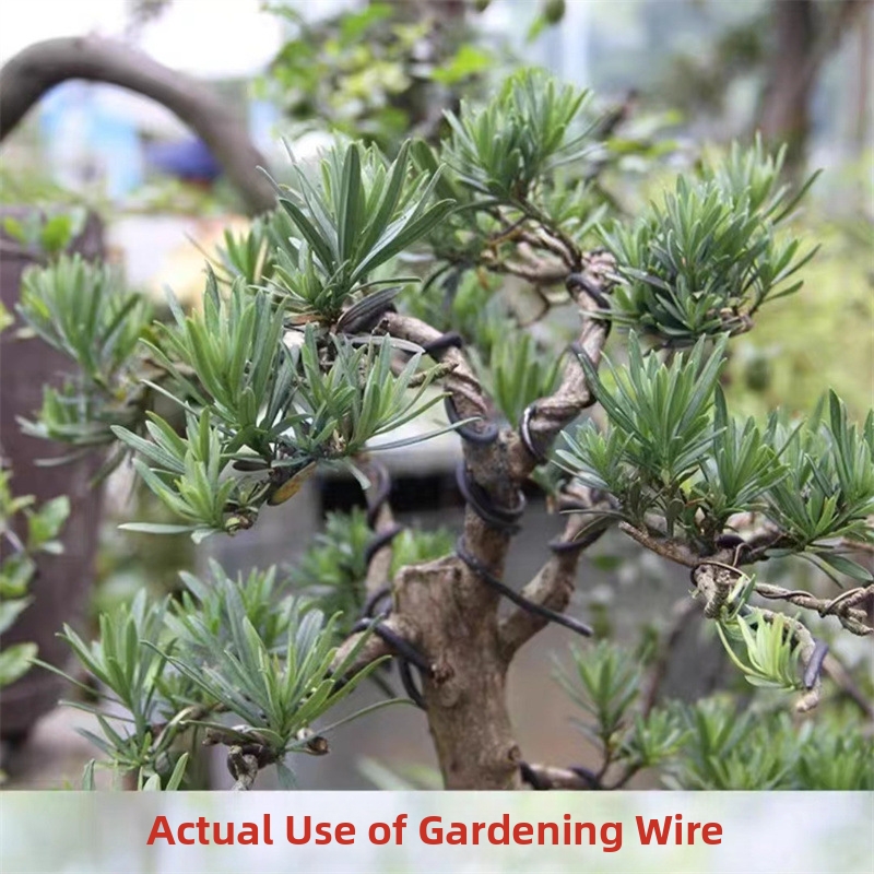 1.5MM盆栽ワイヤー アルミ盆栽トレーニングワイヤー モデ - Bonsai Gardener のレビューと価格