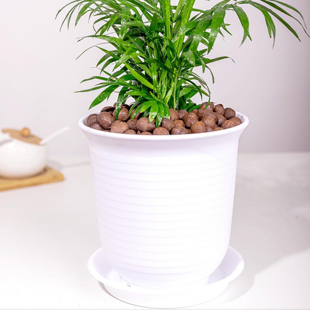 軽量水耕栽培用粘土ペブル 3.3ポンド 天然粘土ペブル 植物 - Sphagnum Moss Bag のレビューと価格