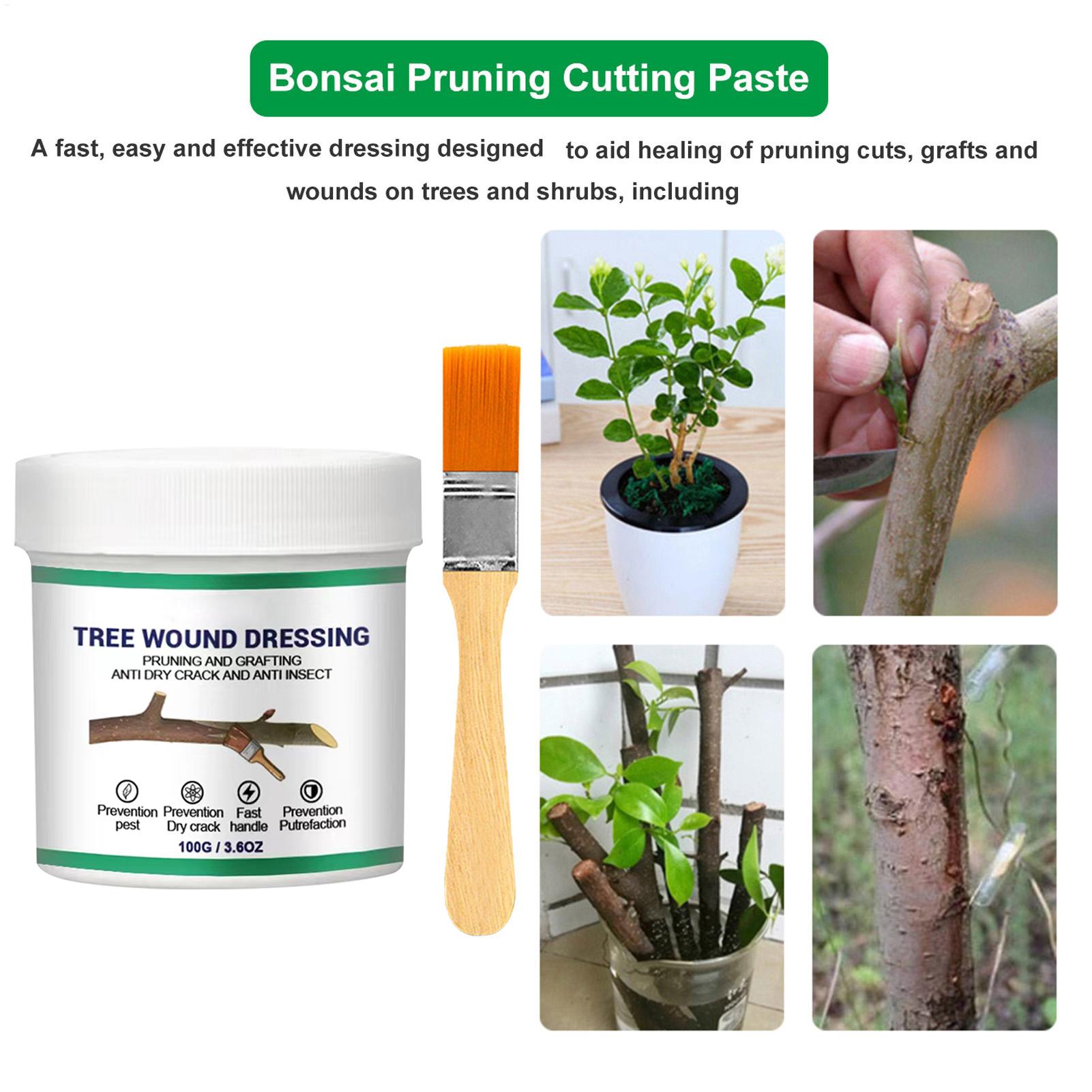 100g 木の傷口用剪定シーラー 剪定シーラー 木の庭用植物 - Bonsai Gardener のレビューと価格