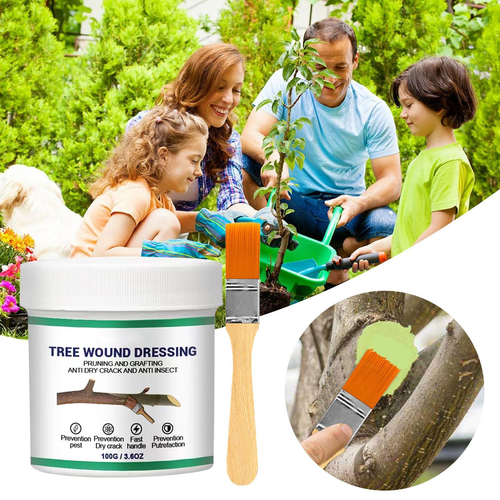 100g 木の傷口用剪定シーラー 剪定シーラー 木の庭用植物 - Bonsai Gardener のレビューと価格