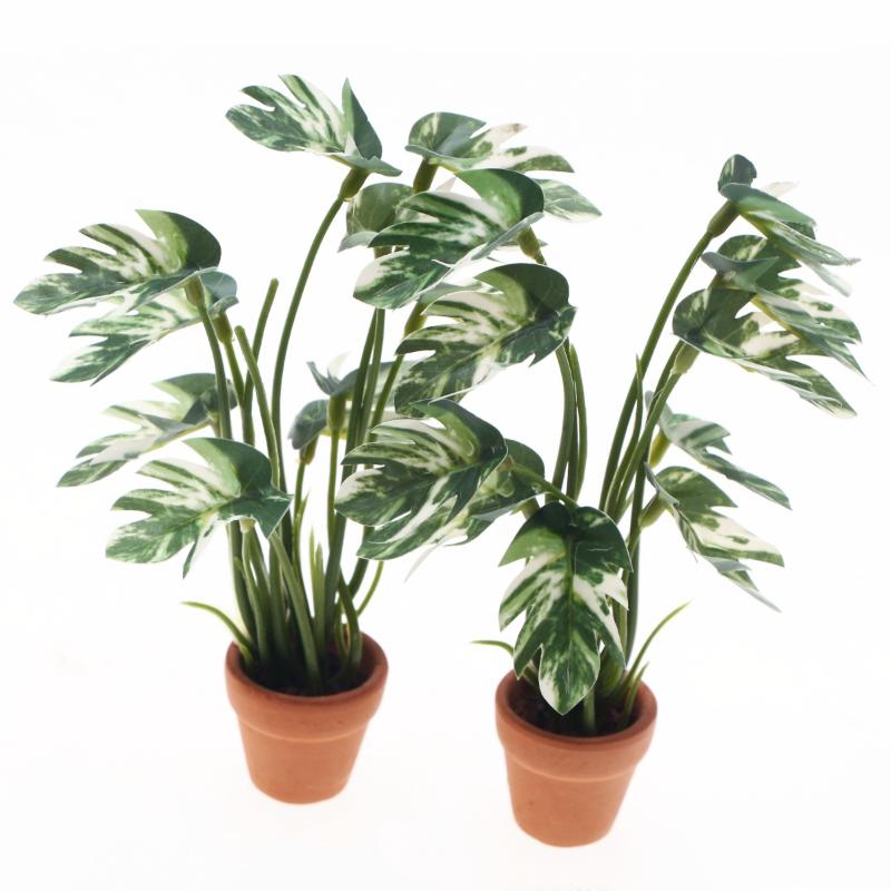 新品。1個入り 1/12 ドールハウス シミュレーション モ - Bonsai Gardener のレビューと価格