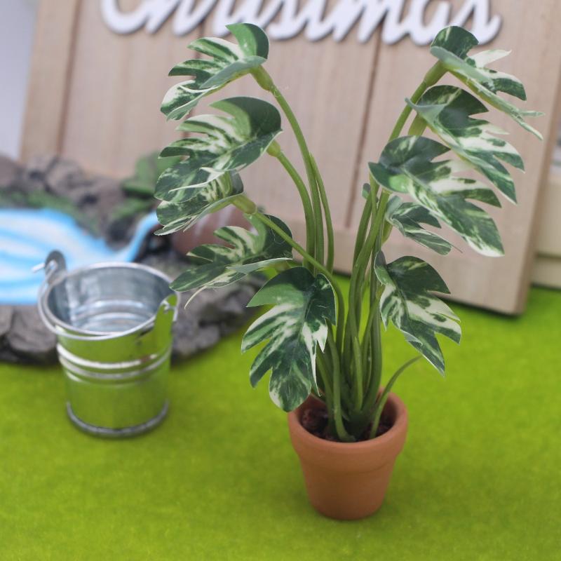 新品。1個入り 1/12 ドールハウス シミュレーション モ - Bonsai Gardener のレビューと価格